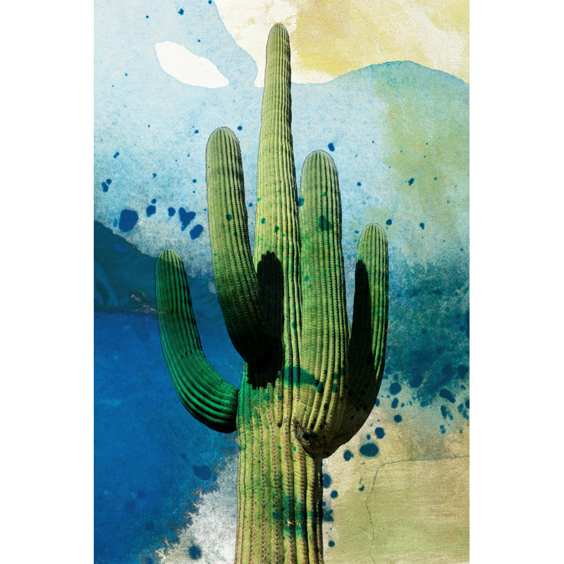 Cactus by Sisa Jasper - Graphic Art, 30cm H x 20cm W, Wrapped Canvas
