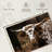 Brampt Longhorn Bull-107679558
