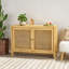 Armoire de rangement décorative 2 portes
