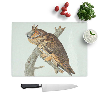 Glass Long-Eared Owl by John James Audubon Chopping Board