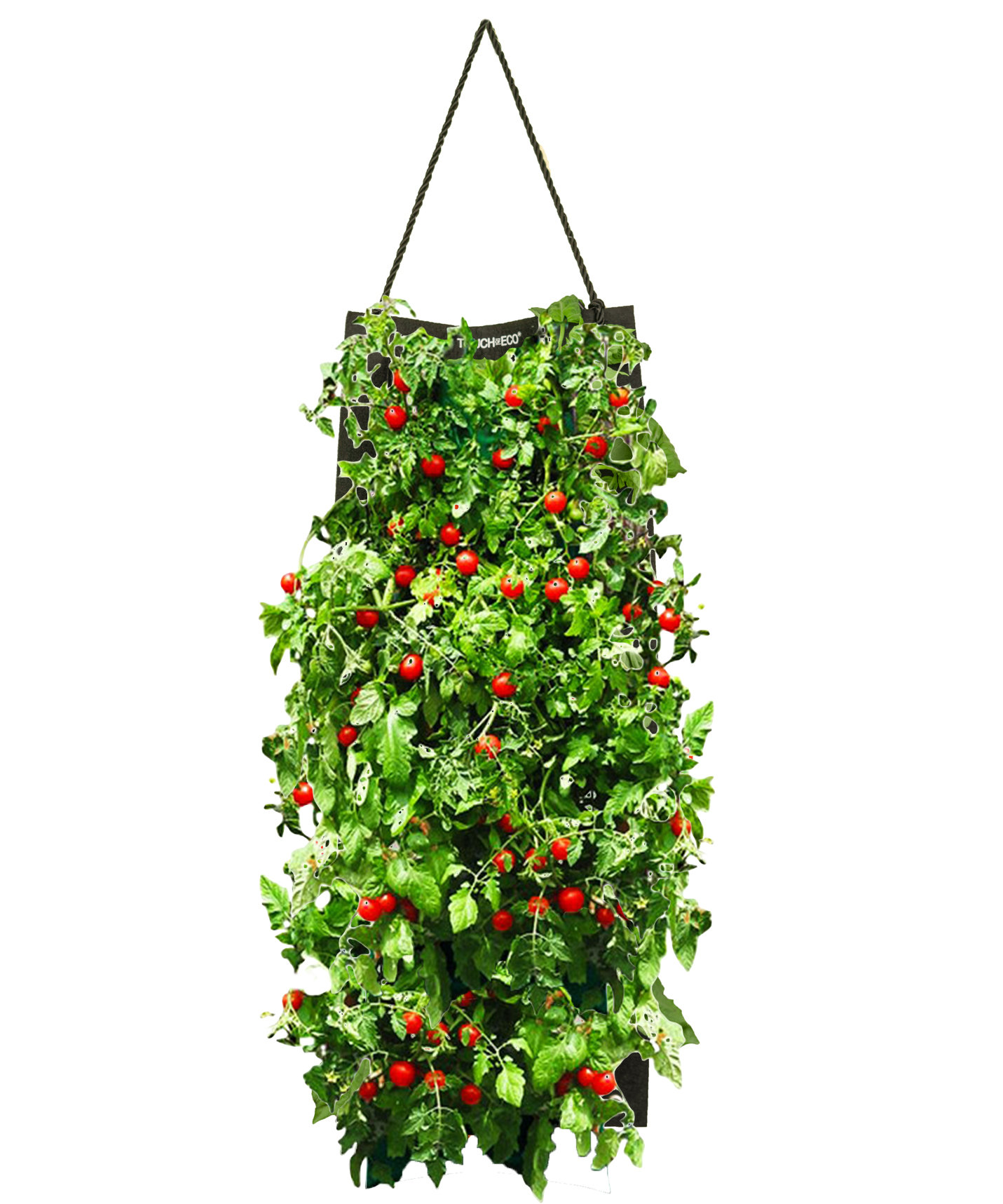 Touch Of ECO Organic Seed Hanging Planter Bag Kit - Cherry Tomato & Reviews  | Wayfair