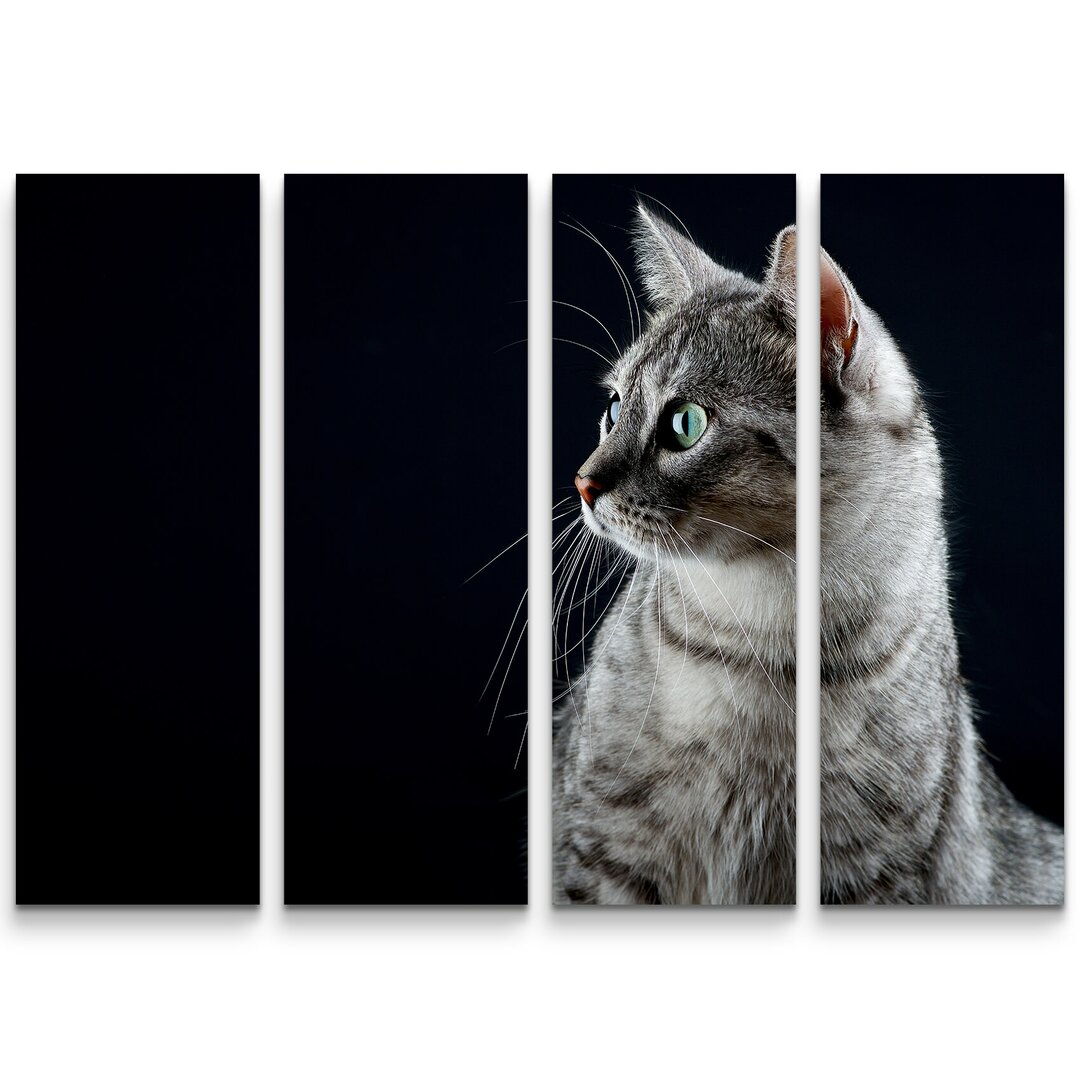 4-tlg. Leinwandbilder-Set Katzen Portrait