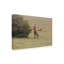 Art sur toile «Bob Bob Langrish»-104135394