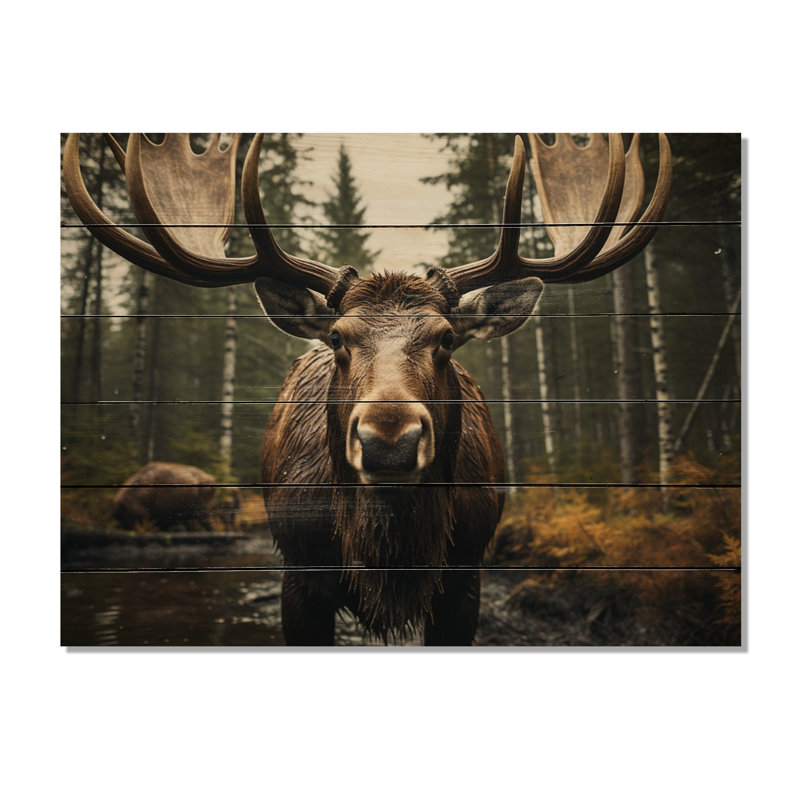 Orignal brun jaune majestueux sur bois, H 24 po x l 32 po x P 0,78 po