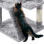Cat Tree-105286891-101437451