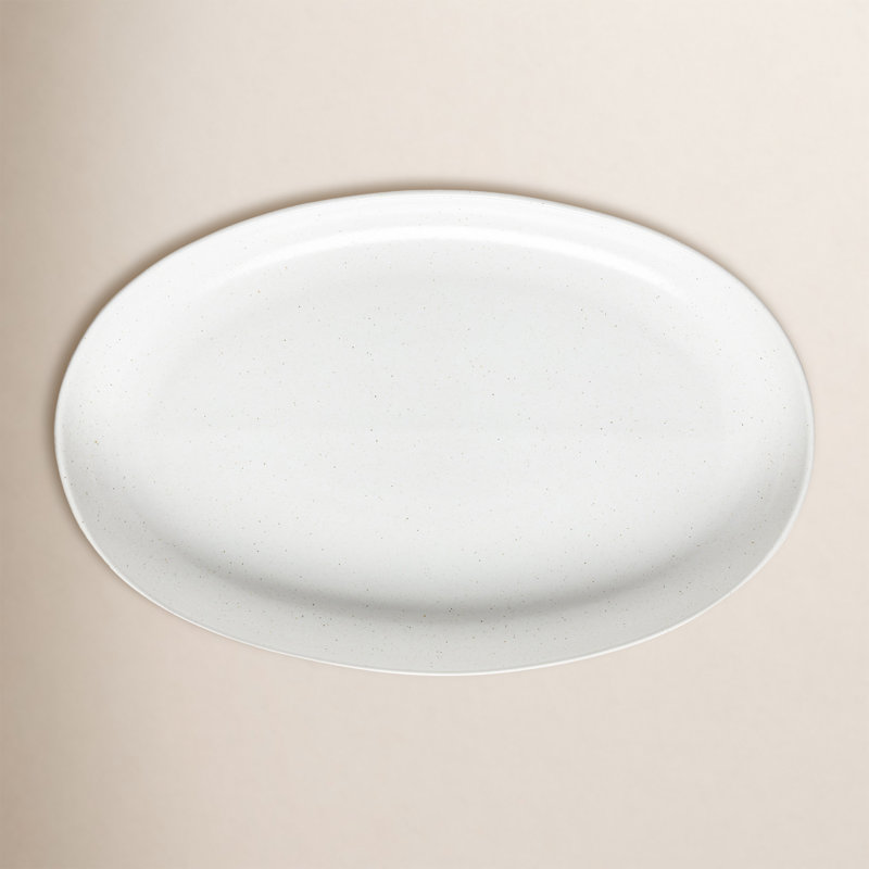 Plateau ovale Casafina Pacifica, H 1,77 po x l 10,35 po x L 16,06 po, Salée