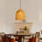 1-Light Pendant Light Dome-1903153332