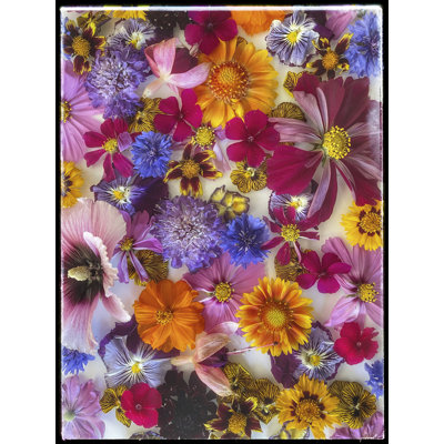 Fleurs florales par Harold Davis