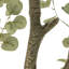 Faux Eucalyptus Tree-Faux Eucalyptus Tree-9'-2137347368