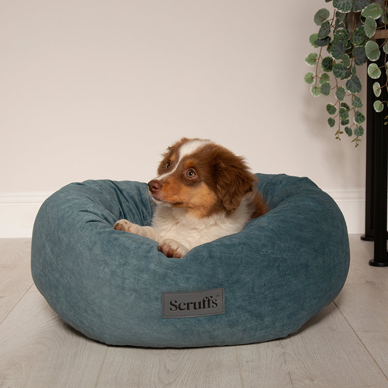 Polyester Pet Bed, Medium (12-18kg), Teal