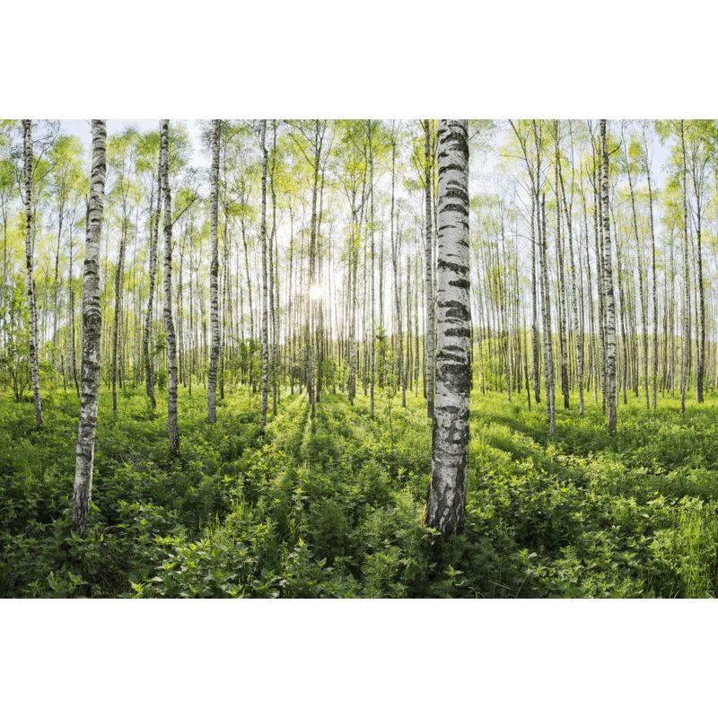 Wrapped Canvas Print, 60.96 cm H x 91.44 cm W