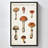 "Mushroom Chart III Light" by Wild Apple Portfolio Print on Canvas in a Floater Frame-110965277-110965282