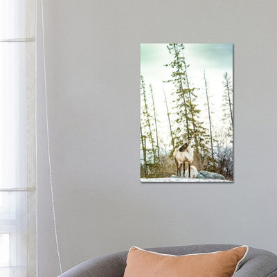Caribou Posing on the Top of the Hill 1 Piece Wrapped Canvas Wall Art