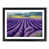 Black Framed selected