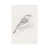 Toile tendue