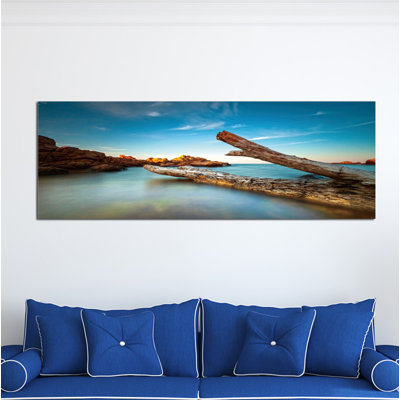 "Driftwood Dreams" High Gloss Acrylic Wall Art 60" x 20"