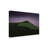 Bolog Xiaopeng Guan Criaea Sup Canvas Art-93222092