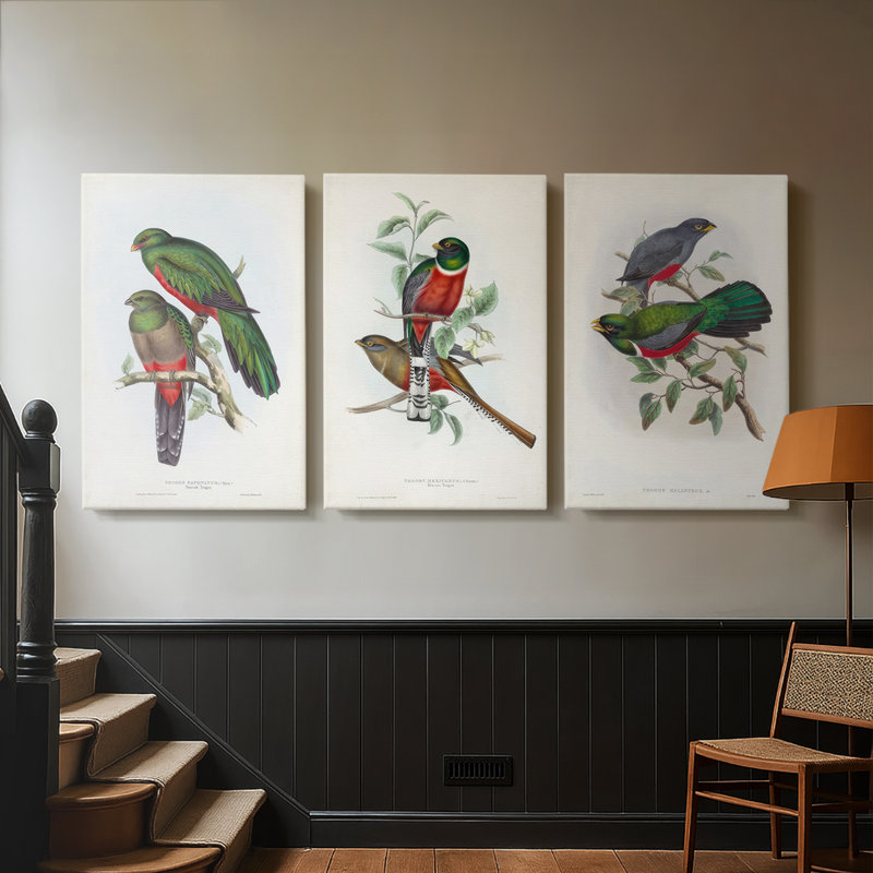 Gould Tropical Birds I - Toile tendue avec châssis sur mesure - 3 pièces, H 12 po x l 24 po