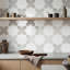 Parma Star-Crossed 6x6 Matte Terracotta Look Porcelain Floor and Wall Tile-1716903951