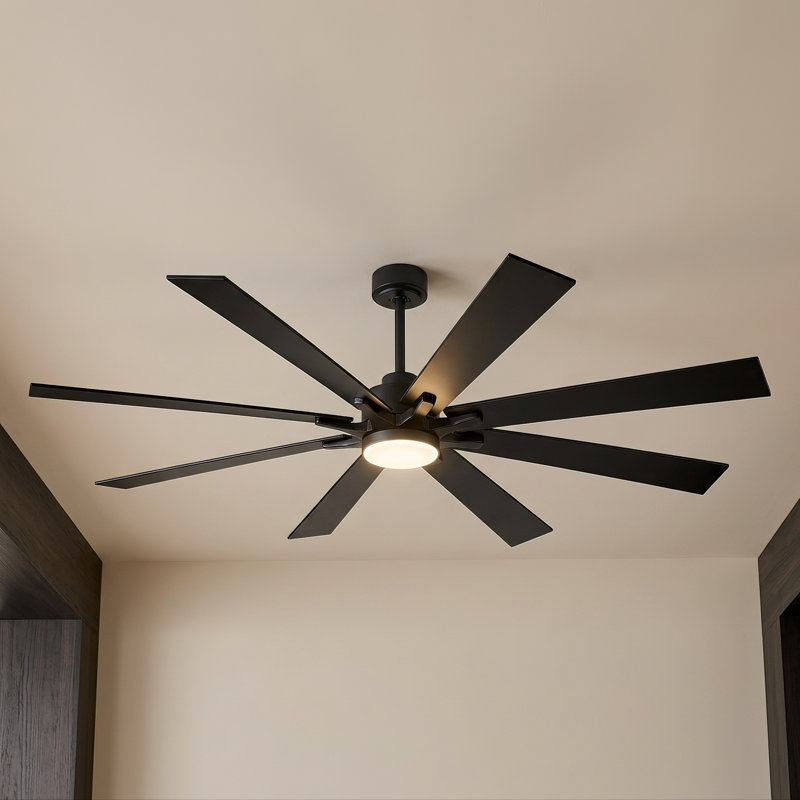 Ceiling Fan