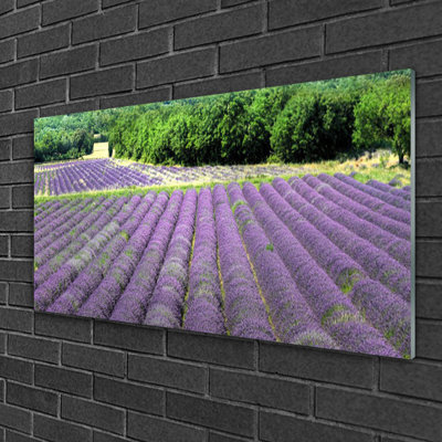 Glass Print Wall Art 100X50cm Image Printed On Glass Decorative Wall Picture Behind Toughened / Tempered Safety Real Glass For Kitchen & Living Room Theme: Meadow Flowers Nature