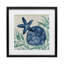 «Tampico Starfish & Sand Dollar», reproduction sous verre encadrée, design par Paul Brent-530639377-530639376