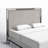 Regan Headboard-1946938624-1889191283