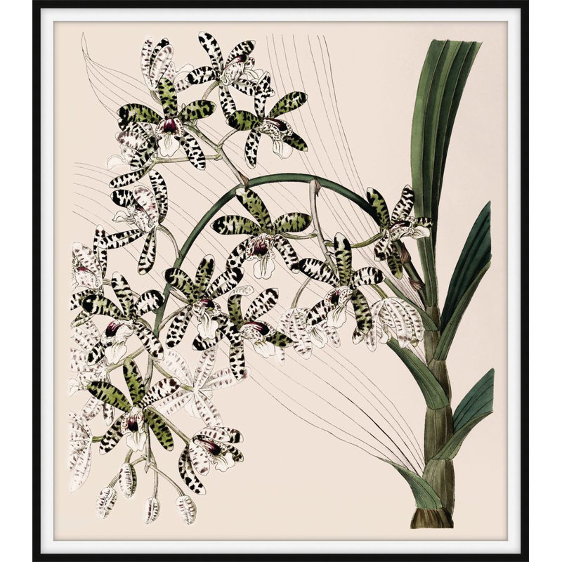 Frond Fountains 1 Print by Art House Studios, 20" H x 18" W x 1" D
