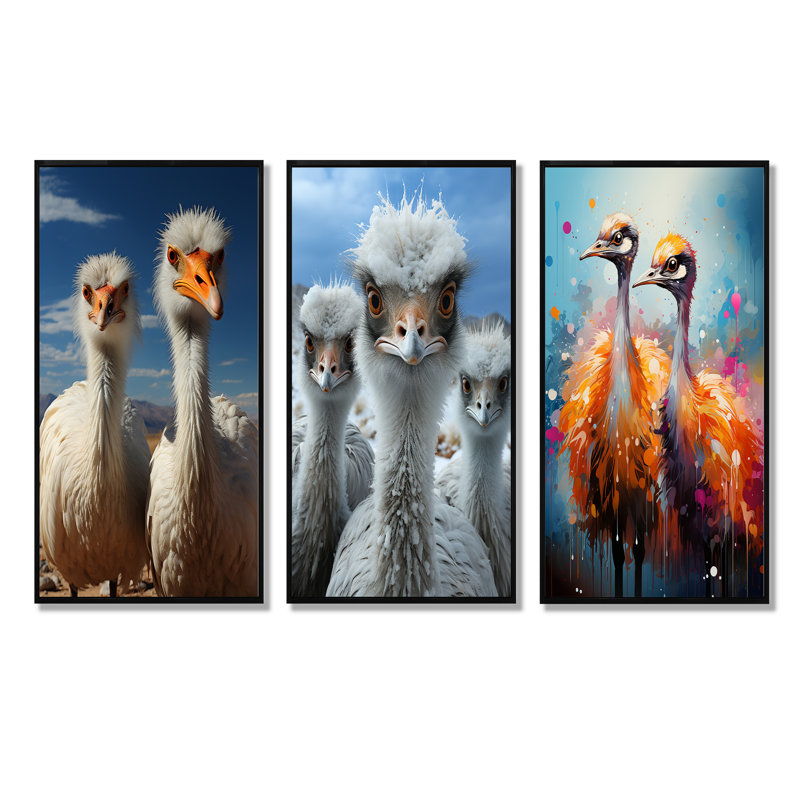Autruche «Harmony Portrait - Autruches», ensemble de 3 reproductions d'art mural, Cadre flottant noir, H 40 po x l 60 po