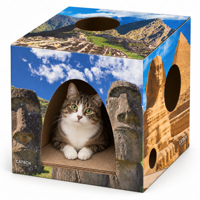 Habitation pour chat Conchetta