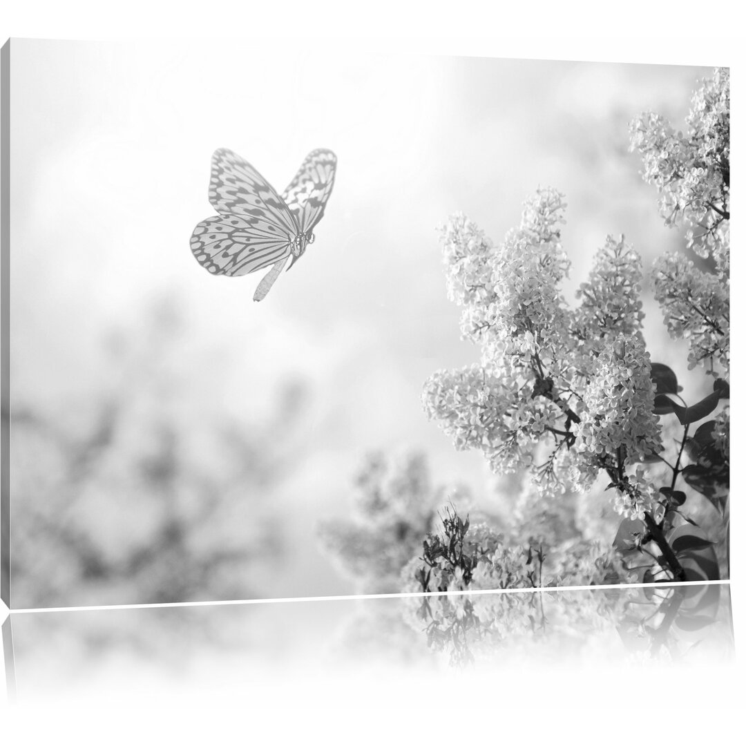 Leinwandbild „Kleiner Schmetterling vor Kirschblüten“, Fotodruck