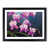 Black Framed selected
