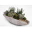 Faux Succulent Plant in Stone Planter