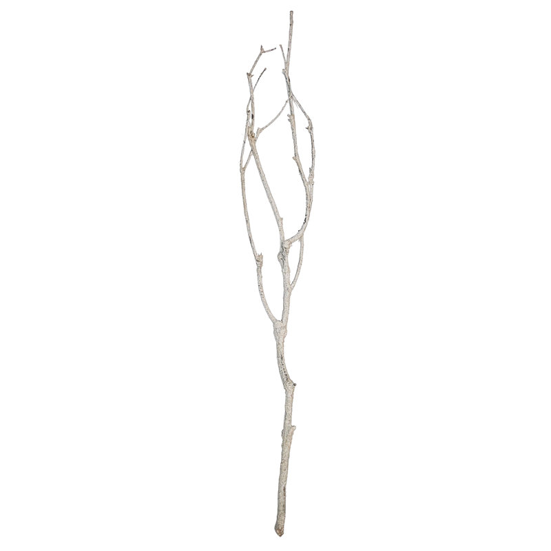 Branch Décor - Set of 4 - Cream