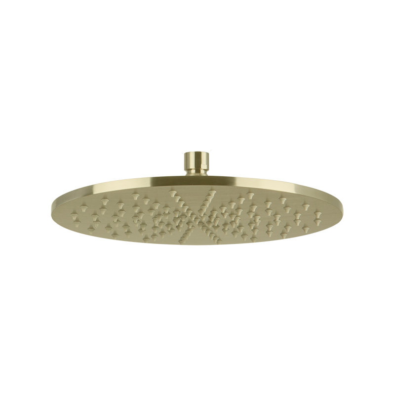 Rain Adjustable Shower Head, Satin Brass