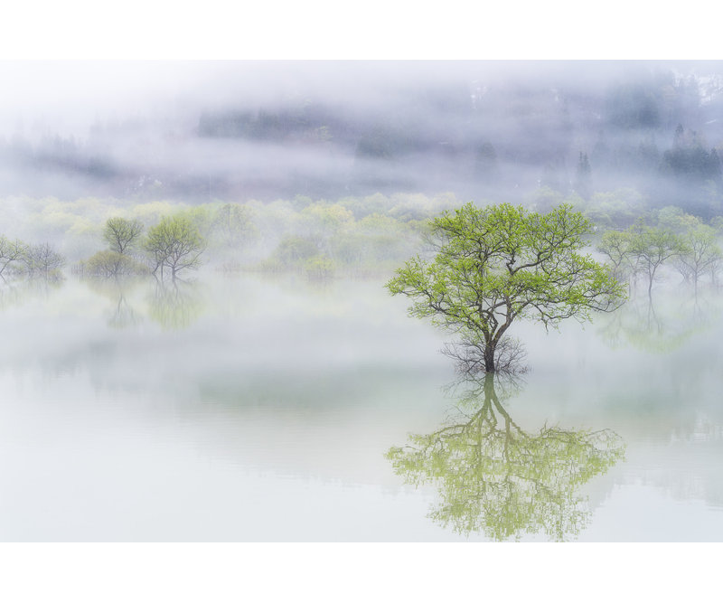 Wrapped Canvas Print, 81.28 cm H x 121.92 cm W