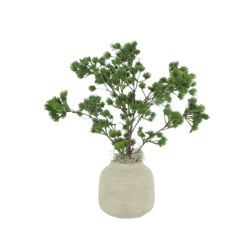 Pin Ming dans un vase Fiberstone, Light Grey
