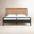 Rosedale Bed-Ebony Oak-Queen-87927803-121778341