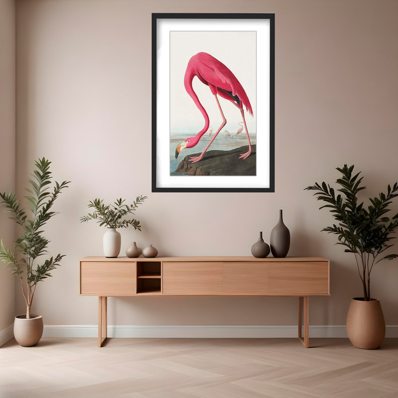 Coastal Retreat Pink Flamingo II From Birds Of America (1827), 40" H x 30" W x 1.5" D, Framed Matted Print, Black
