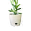 Ensemble de pots à fleurs 3 pièces Bamboo Blooms - 10, 7 et 5 pouces