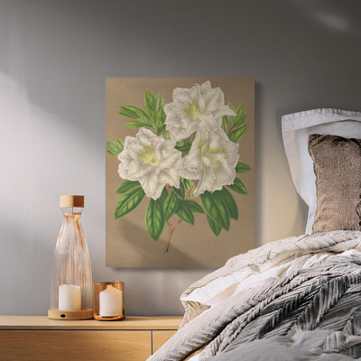 Hesser Wrapped Canvas Print Set
