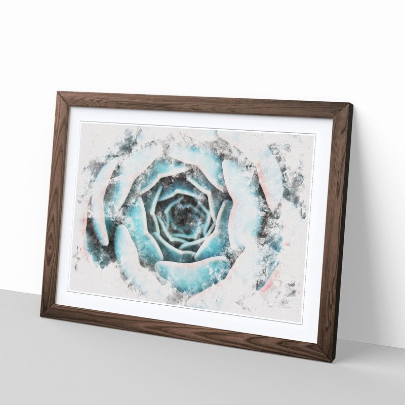 Pink & Green Succulent Plant - Picture Frame Painting Print, 24cm H x 33cm W x 2cm D, Walnut Framed