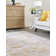 Saphira Chenille Oriental Indoor Rug