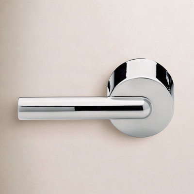 Trinsic Universal Toilet Flush Lever
