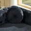 Canapé Chesterfield en velours avec coussins ronds-546643841