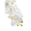 Rowan Orchid Arrangement in Gold Planter-318355483