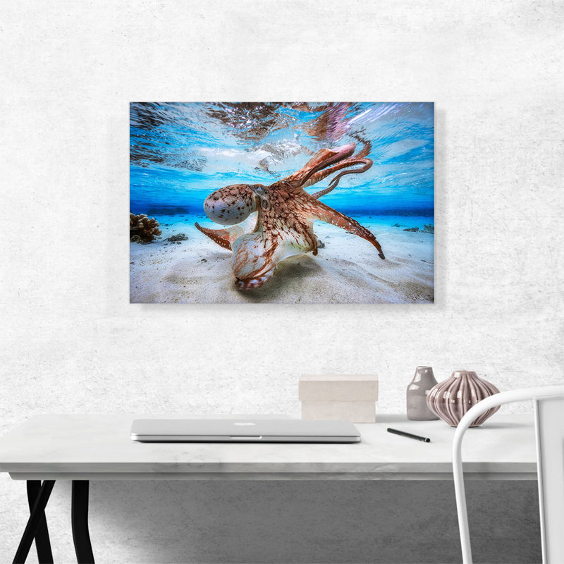 Octopus in Shallow Ocean Water - reproduction de photo sur toile tendue, H 18 po x l 26 po x P 1,5 po