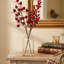 Assortiment de 6 baies rouges