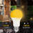 9 Watt, A19 LED, Non-Dimmable Light Bulb, Warm White E26/Medium (Standard) Base