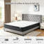 Bosten Brayden Studio Pocket Sprung Mattress-1358906241